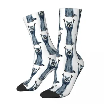 Класически чорапи с животни от миеща мечка Procyon Lotor, мъжки и дамски есенни чорапи от полиестер